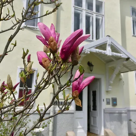 Blauer Spatz * 라이헤나우