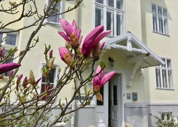 Blauer Spatz * Reichenau an der Rax